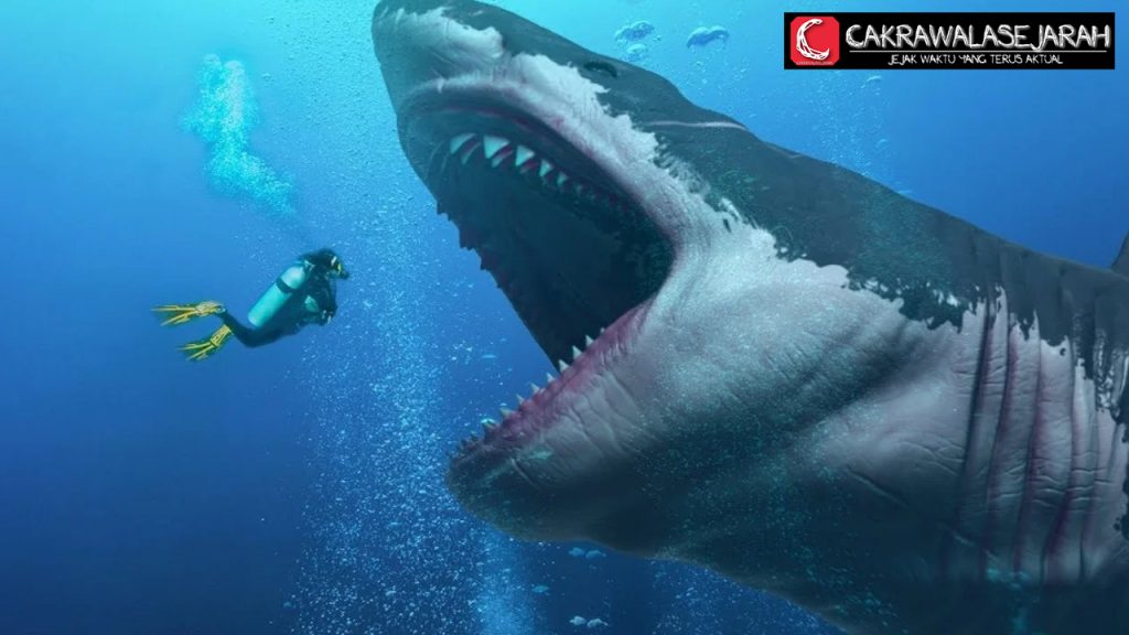 Megalodon, Hiu Mitologi yang Menghantui Lautan Prasejarah