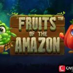 Sensasi di Hutan Belantara: Fruits of the Amazon Bikin Terpukau